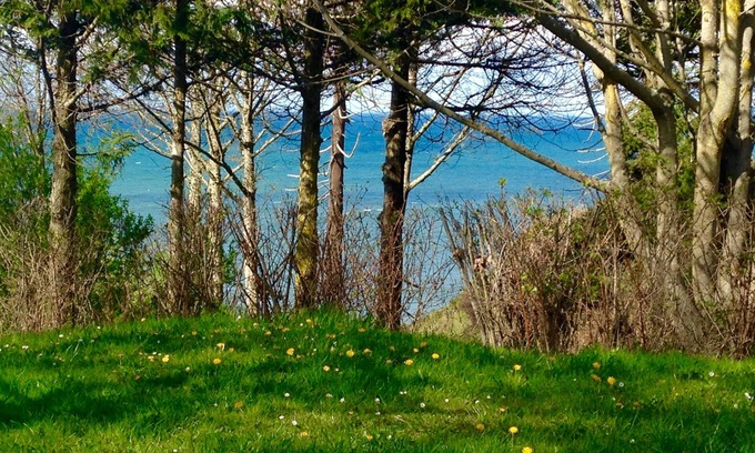 Port Angeles House | Private Beach Access Trail, peaceful wooded setting - sleeps 3