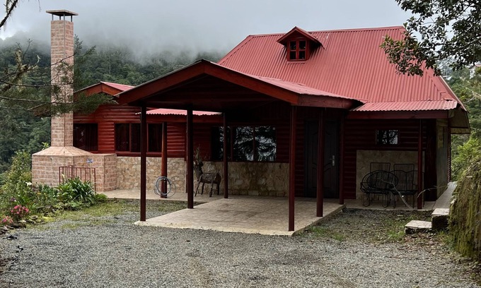 Paramo Cabin | Private cabin in the pristine cloud forest. Quiet and tranquil.