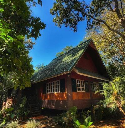 Ban Luang House | Private Forest Cottage in Near Chiang Mai