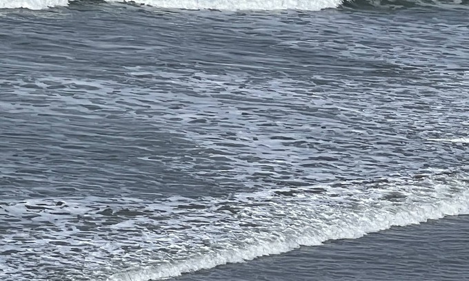 Newport House | Private ocean view cottage in Nye Beach area of NEWPORT