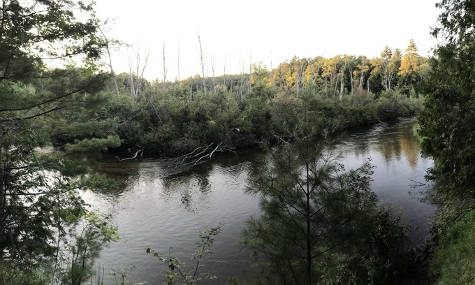 Custer Cottage | Private peaceful Copper top cabin on the world renowned Pere Marquette River!