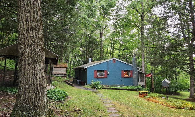 Brockton Cabin | Private rustic cabin in New Ringgold