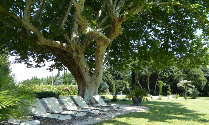 Saint-Andiol House | Provencal farmhouse and its hundred-year-old plane tree, heated and secure pool