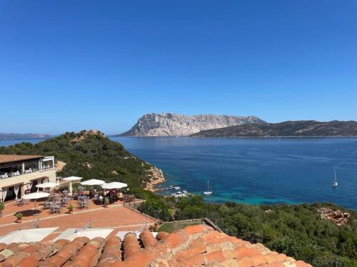 Capo Coda Cavallo Apartment | Punta Est bellissimo 3 camere vista mare