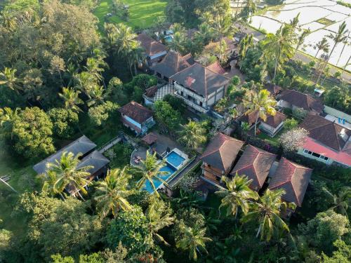 Petak Hotel | Puri Saron Hotel Madangan - Gianyar