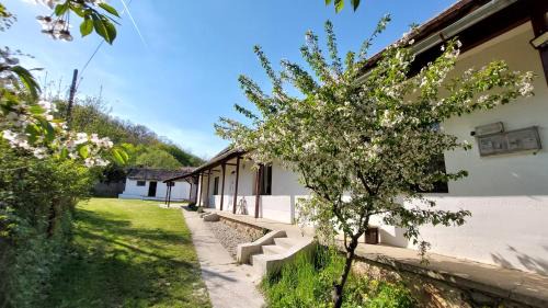 Lovaszheteny House | Pusztakisfalu Vendégház 2