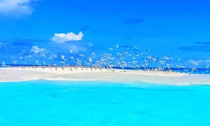 Honiara House | Putuo Ecolodge - House - Sleeps 2 - Seaside