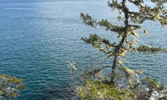 Juan de Fuca Electoral Area House | Quail Peak Suites (B)