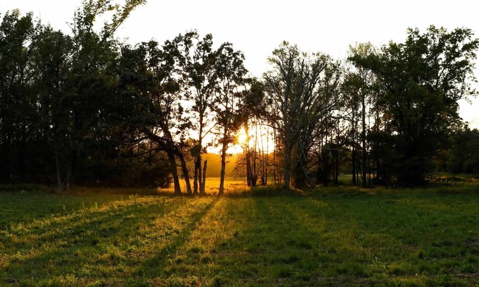 Clarksville House | Quiet country home on a homestead farm