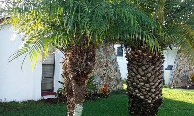 Hudson House | Quiet Gulf Canal Neighborhood with Enclosed Lanai & Heated Pool EV friendly