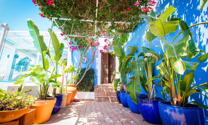 Moncarapacho e Fuseta House | Quinta Santa Inês