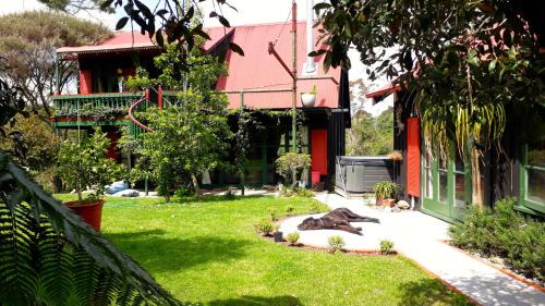Maketu Cabin | Quirky Woods - Glamping Cabins at Maketu