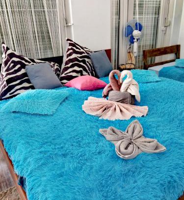 Miskolc House | Rákóczi Guesthouse Miskolc