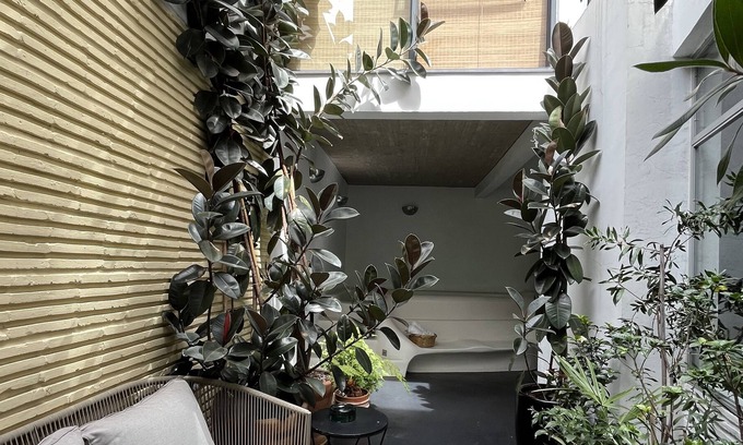 Colonia Cuauhtemoc House | Río Poo 14