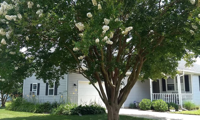 Maplewood Apartment | Radcliffe Retreat near Rehoboth Beach with Pool
