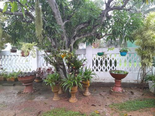 Negombo House | Ralph recedency