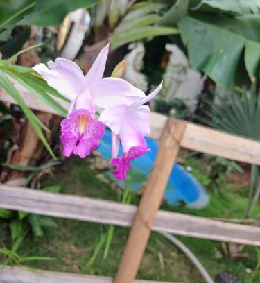 Aguas de Lindoia House | Rancho Meu Ambiente