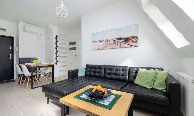 West Pomeranian Voivodeship Apartment | Rayskiego 19 | Szczecin | Stylish Apartment | Air conditioning in the living roo