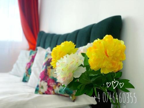 Cluj County Apartment | Red Hotel Accommodation