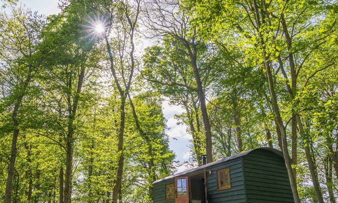 Maidensgrove Apartment | Red Kite Retreat - Bluebell - Shepherds Hut 1