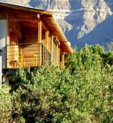 El Ingenio Ski Chalet | Refugio Cordillera Flora endógena Bosque Esclerófilo