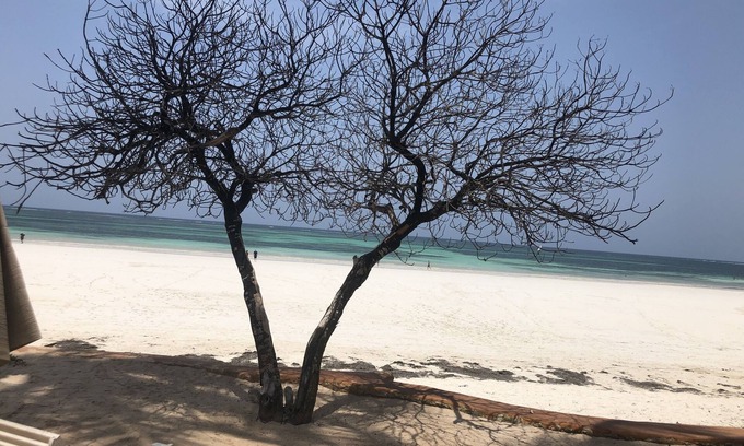 Galu Beach Apartment | Relax and rejuvenate in South Coast of Kenya: Beach front property sleeps 6 ,