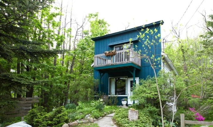 Douglas Cabin | Relaxing, lake, beach, serene, wooded, leisure, peace, respite, tranquil, pool