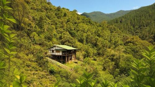 Salento Cabin | Reserva Santa Lucia de Salento