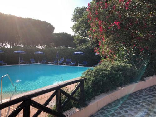 Punta Ala Apartment | REX LO SCOGLIETTO Nuova Gestione