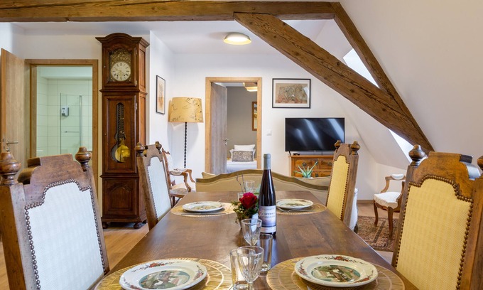 Selestat Apartment | RHENANUS: Jean Geiler de Kaysersberg 🐕‍🦺🅿️🗝