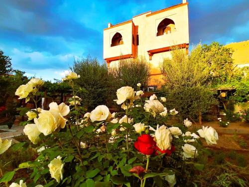 Ibrrahne House | Riad Tazawa