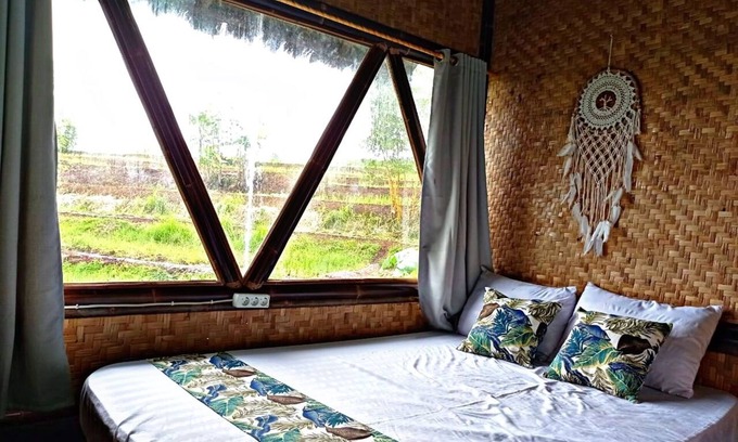 Cibodas House | Rice Field View