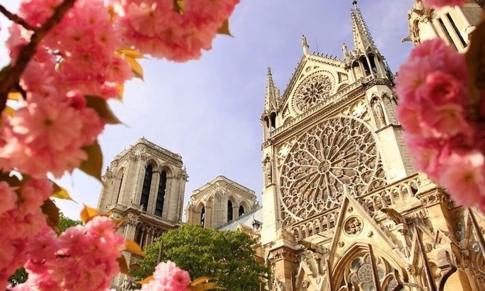 Notre Dame Apartment | Right next to Notre Dame,Seine &Shakespeare &Co in the heart of the Latin Qtr!