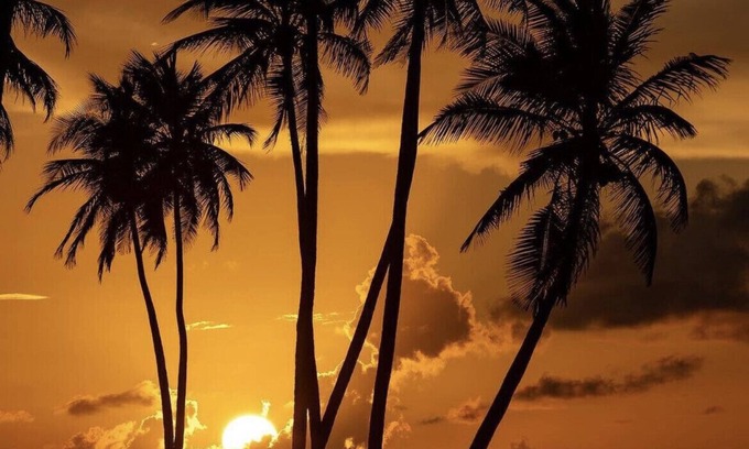 Pueblo Apartment | Rincón apartment . Near to beach and all amenities in the area.
