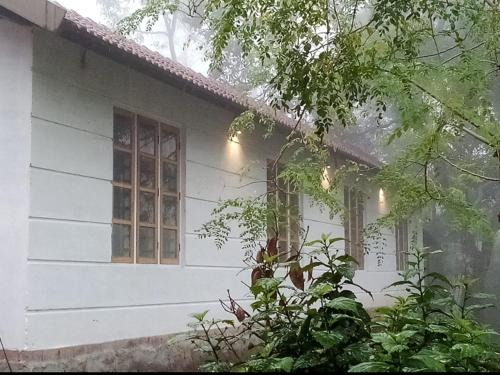 Vythiri House | River View Guest Rooms