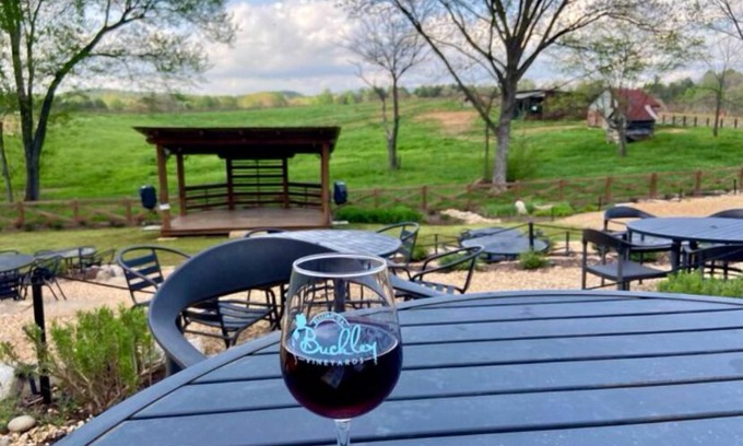 Ellijay Cabin | RIVERFRONT+ NEW Hot Tub + Apple Orchards + Close to Wineries + Downtown