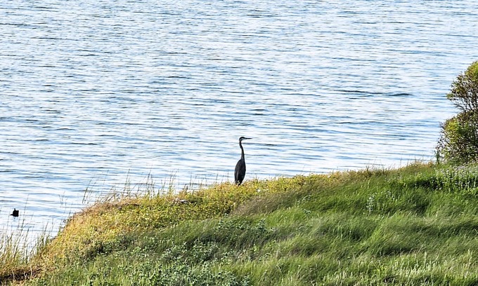 Rockport Condo | ROCKPORT'S BEST VIEW AND LOCATION! - Aly-Kats Flip Flop Flat
