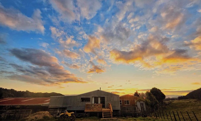 Kotare Other | RotokauwaI Farmstay private, cosy ,great walks and views