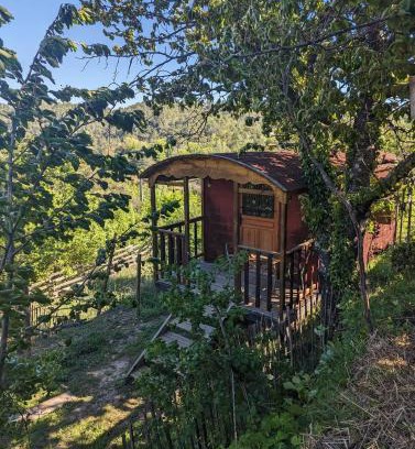 Barjols Ski Chalet | roulotte à la mauvaise herbe