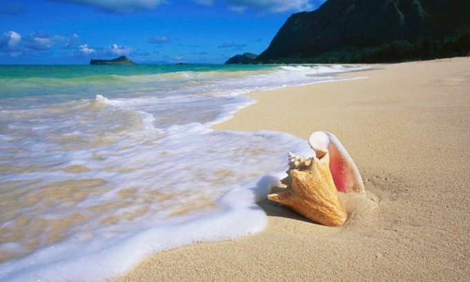 Anse Royale Apartment | Royal Suites by Arc Royal Luxury Apartments (2BR)