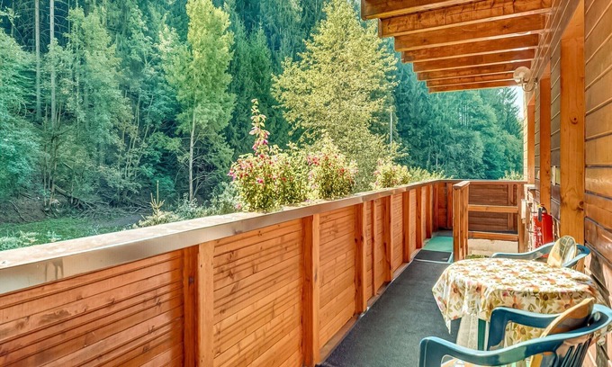 Masserberg Apartment | Rustic Black Forest Getaway