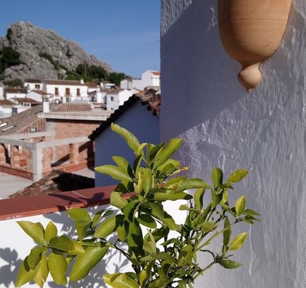 Montejaque House | Rustic Elegance in a Traditional Village Townhouse