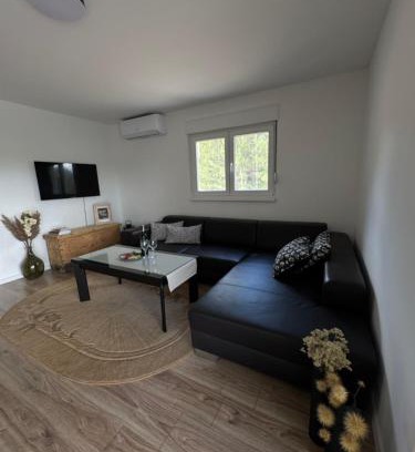 Canton 10 House | Sašina kuća