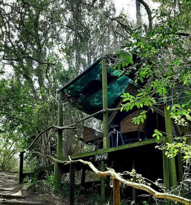 Rheenendal Other | Sacred Forest Eco Tents