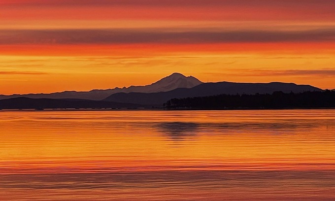 Sidney House | Salish Sea Beach House B&B Spectacular Oceanfront on the Salish Sea!