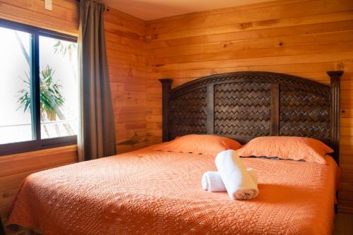 San Jose del Pacifico Ski Chalet | San José del Pacífico- Cabañas Camino al Cielo 4