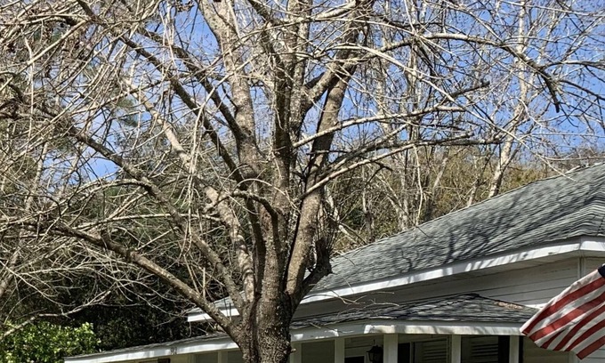 Dauphin Island Cottage | Sandy Hook - A Charming Cottage in Dauphin Island Village