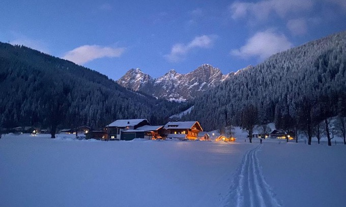 Schildlehen Apartment | Sattlehnerhof
