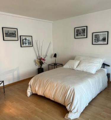 Matthaus Apartment | Schweiz (301)