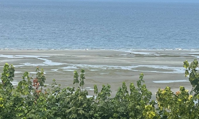 Regional District of Nanaimo Apartment | Sea Breeze: Relaxation with a View with A/C